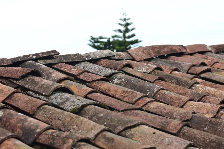 A close up image of old brown shingles on a roof