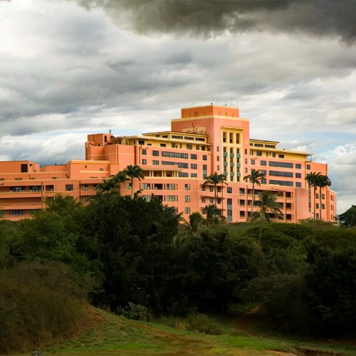 A large orange commercial building behind a field of grass and trees. This is on a cloudy day.