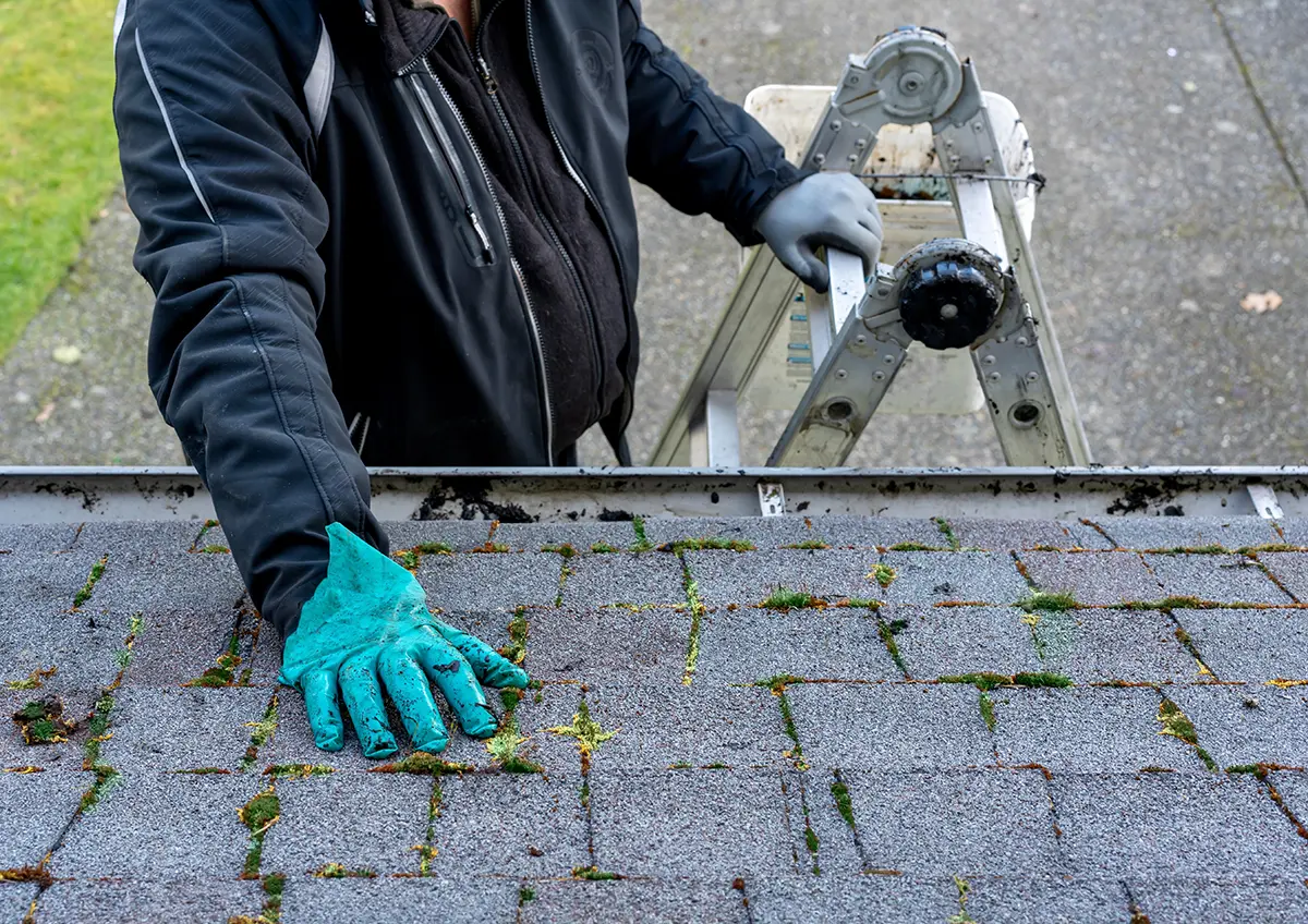 Dirty moss covered roof being inspected before cleaning