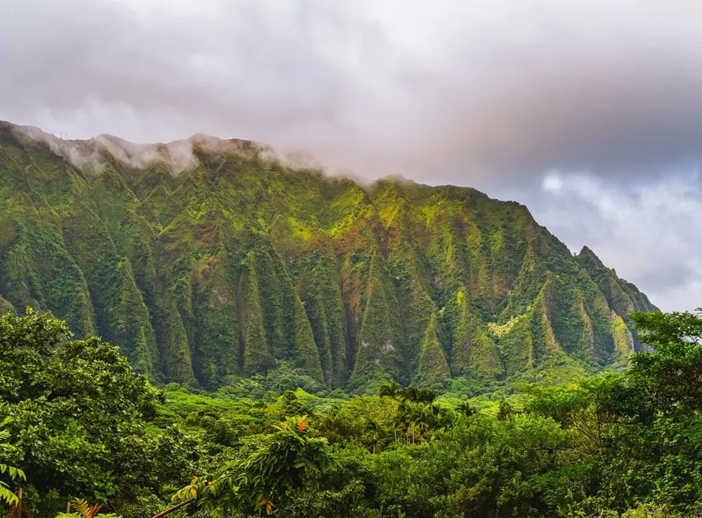 Mountain side in Hawaii with lots of greenery and gray clouds above.